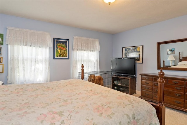 11 Wood Duck Run, Ogden, NY 14559 - photo 21