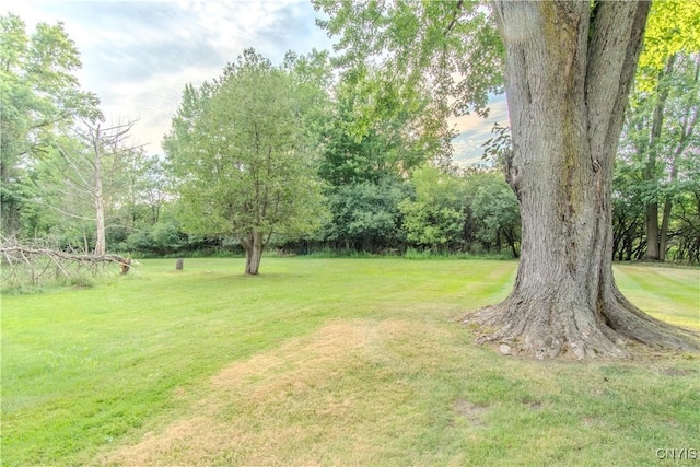 316 Iroquois Ave W, Watertown City, NY 13601 - photo 30