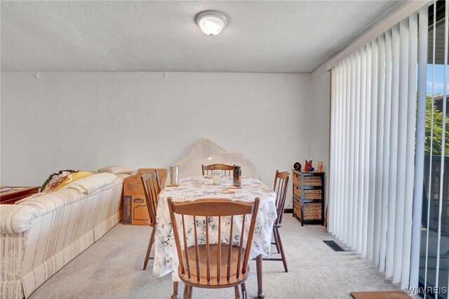3924 Ridge Lea Rd Unit A, Amherst, NY 14228 - photo 15