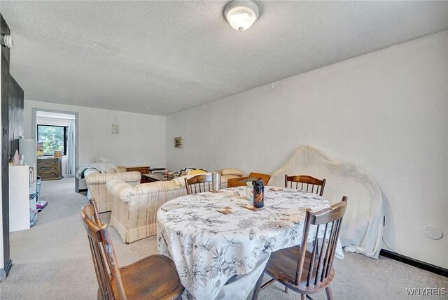 3924 Ridge Lea Rd Unit A, Amherst, NY 14228 - photo 12