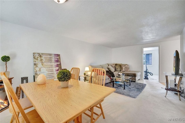 3944 Ridge Lea Rd Unit B, Amherst, NY 14228 - photo 8