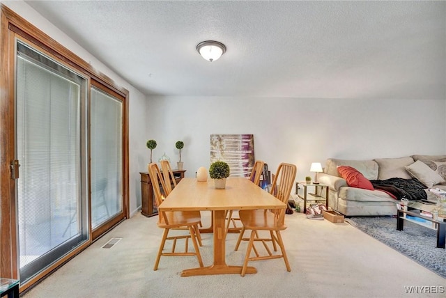3944 Ridge Lea Rd Unit B, Amherst, NY 14228 - photo 11