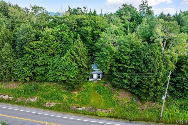 3850 State Route 28, Webb, NY 13420 - photo 5
