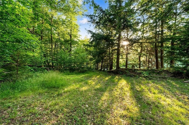 3850 State Route 28, Webb, NY 13420 - photo 12