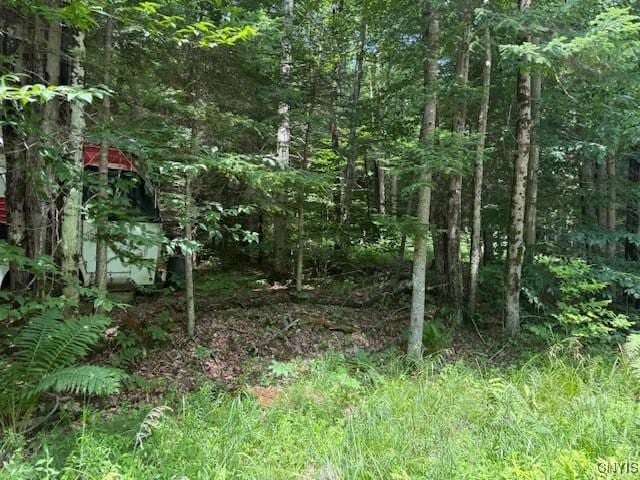 261 Uncas Rd, Inlet, NY 13360 - photo 1