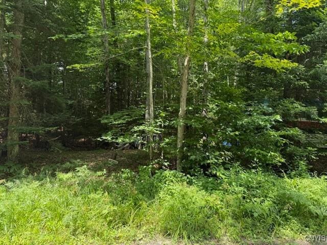 261 Uncas Rd, Inlet, NY 13360 - photo 3