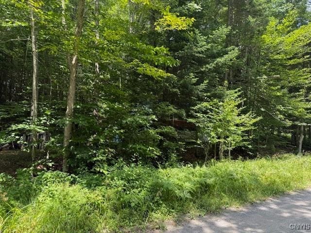 261 Uncas Rd, Inlet, NY 13360 - photo 4
