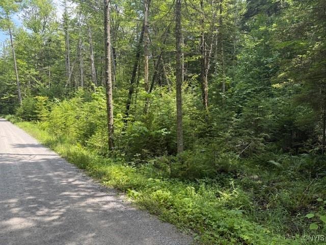 261 Uncas Rd, Inlet, NY 13360 - photo 5
