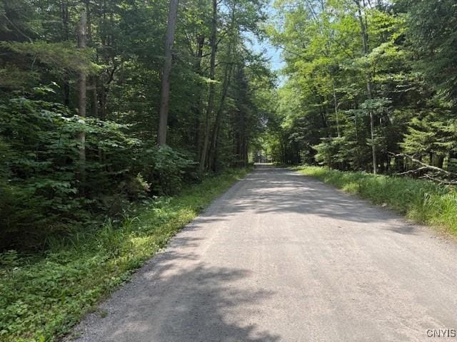 261 Uncas Rd, Inlet, NY 13360 - photo 6