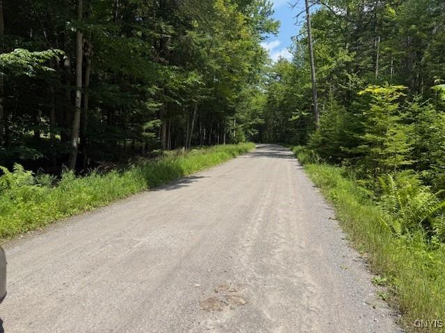 261 Uncas Rd, Inlet, NY 13360 - photo 7