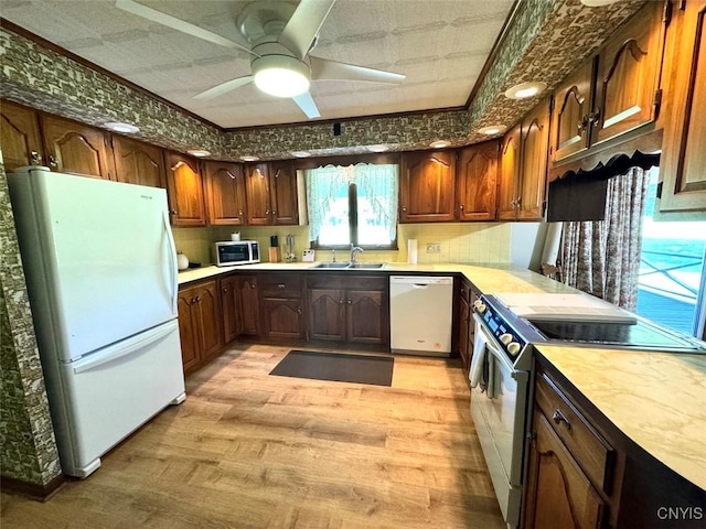 5410 River Rd, Amity, NY 14813 - photo 12