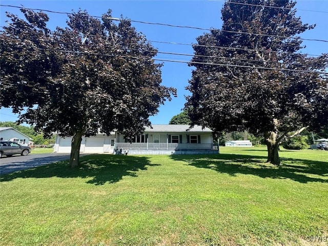 5410 River Rd, Amity, NY 14813 - photo 39