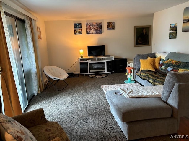 15 Greenwich Dr Unit 3, Amherst, NY 14228 - photo 3