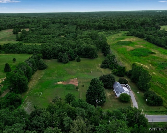 2839 Carmen Rd, Hartland, NY 14105 - photo 34