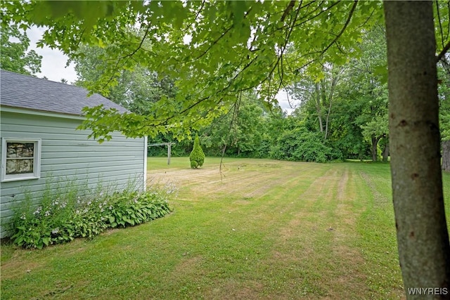 400 Pine St, Lockport City, NY 14094 - photo 13