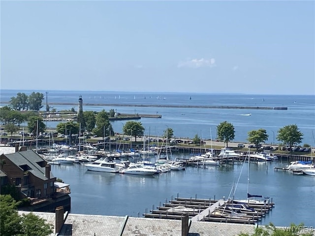 803 Admirals Walk Unit 803, Buffalo, NY 14202 - photo 18