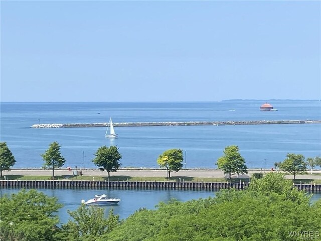 803 Admirals Walk Unit 803, Buffalo, NY 14202 - photo 48
