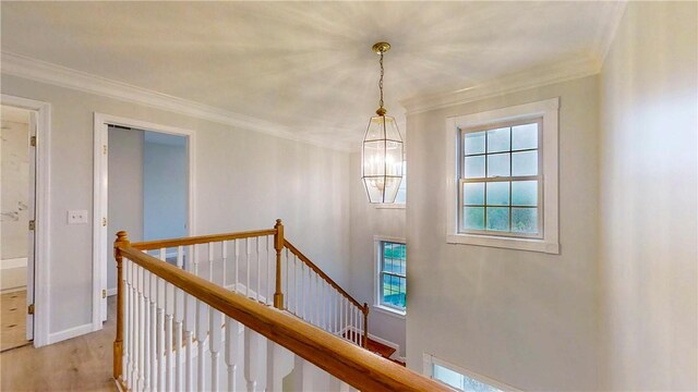 3433 Conhocton Rd, Erwin, NY 14870 - photo 20