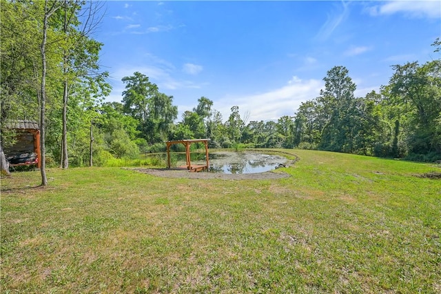 L55 Arnold Rd, Rensselaerville, NY 12469 - photo 47