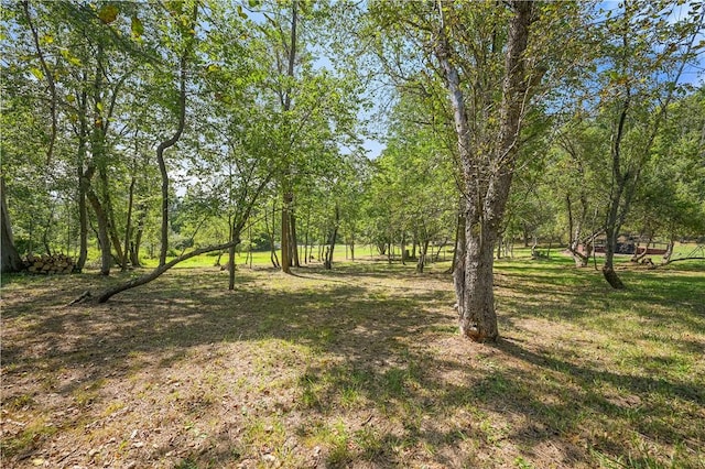 L55 Arnold Rd, Rensselaerville, NY 12469 - photo 36