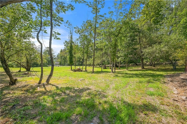 L55 Arnold Rd, Rensselaerville, NY 12469 - photo 7