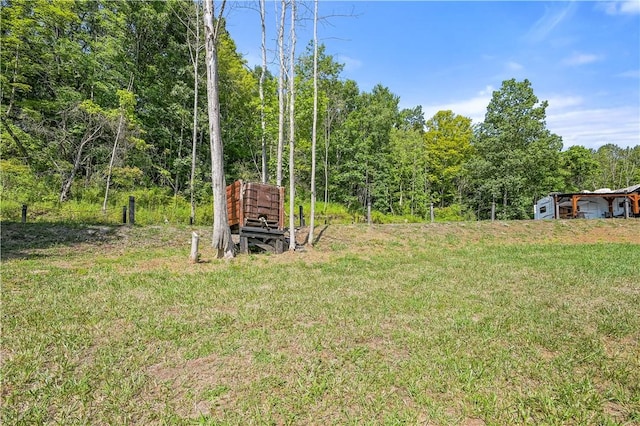 L55 Arnold Rd, Rensselaerville, NY 12469 - photo 40