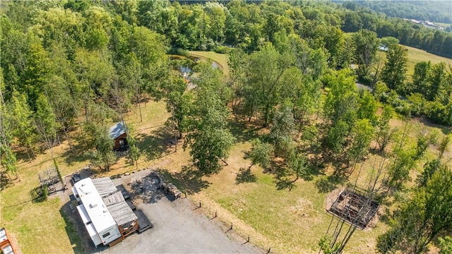L55 Arnold Rd, Rensselaerville, NY 12469 - photo 42