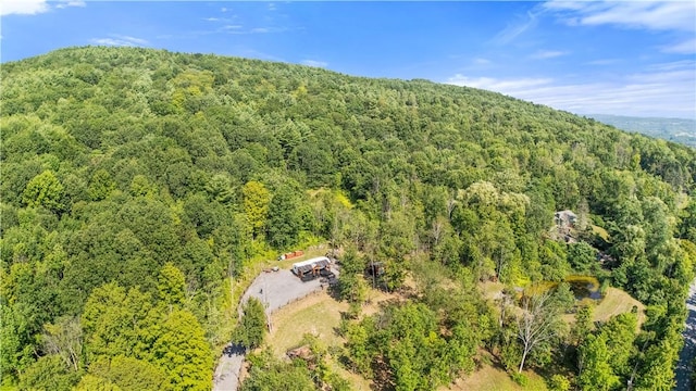 L55 Arnold Rd, Rensselaerville, NY 12469 - photo 43