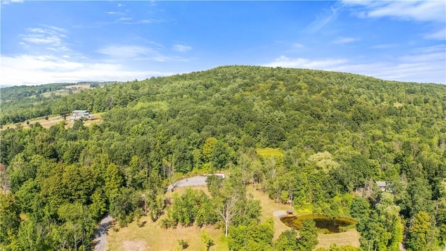 L55 Arnold Rd, Rensselaerville, NY 12469 - photo 50
