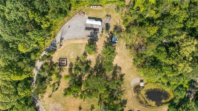 L55 Arnold Rd, Rensselaerville, NY 12469 - photo 44