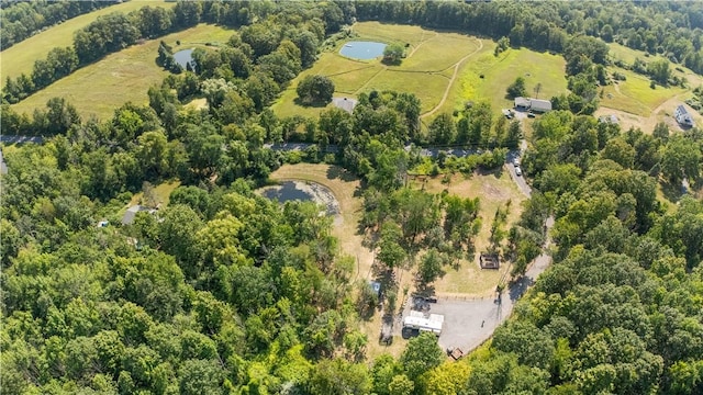 L55 Arnold Rd, Rensselaerville, NY 12469 - photo 46
