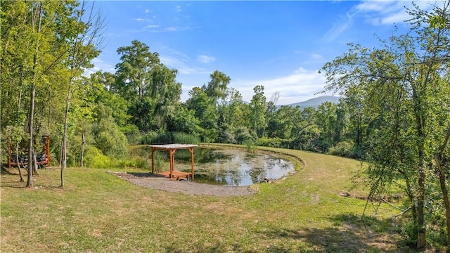 L55 Arnold Rd, Rensselaerville, NY 12469 - photo 6
