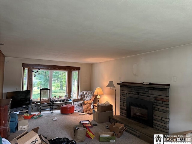 12079 Savage Rd, Sardinia, NY 14030 - photo 13