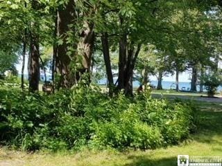 5 Beach Pl, Portland NY, 14063 land for sale