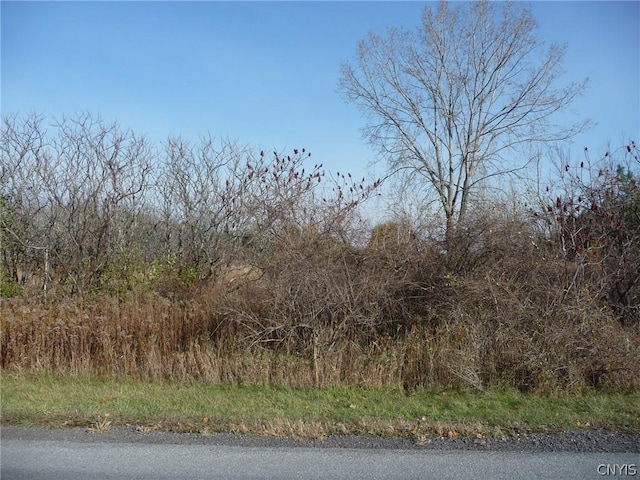 0 N Adams, Adams NY, 13605 land for sale