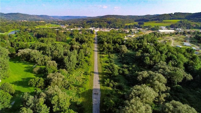 0 Bolivar Rd, Wellsville NY, 14895 land for sale