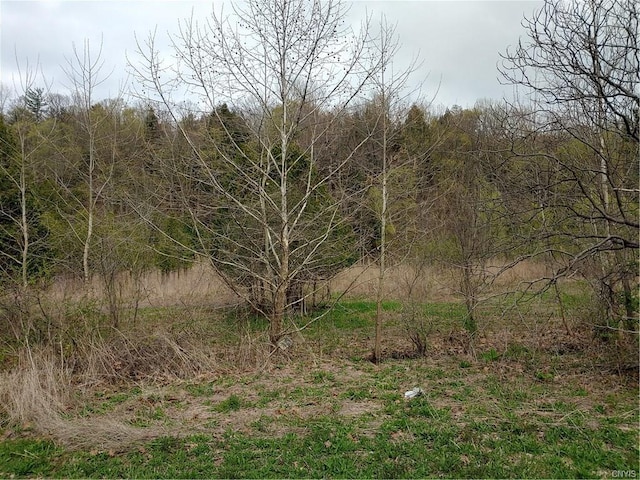 0 Route 13, Sullivan NY, 13030 land for sale