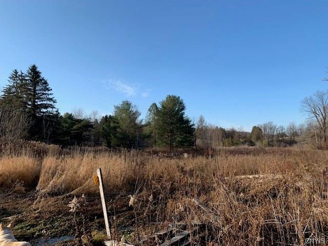 0 Erieville Road, Nelson NY, 13061 land for sale