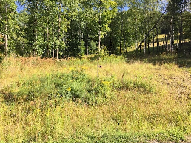 0 County Road 24, Grove NY, 14884 land for sale