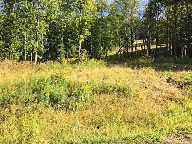 0 County Road 24, Grove NY, 14884 land for sale