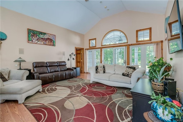 living room featuring high vaulted ceiling and wood-type flooring