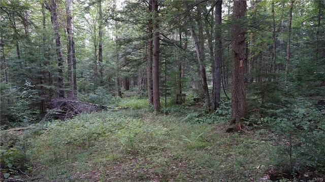 9304 Bear Hollow Road, Watson NY, 13367 land for sale