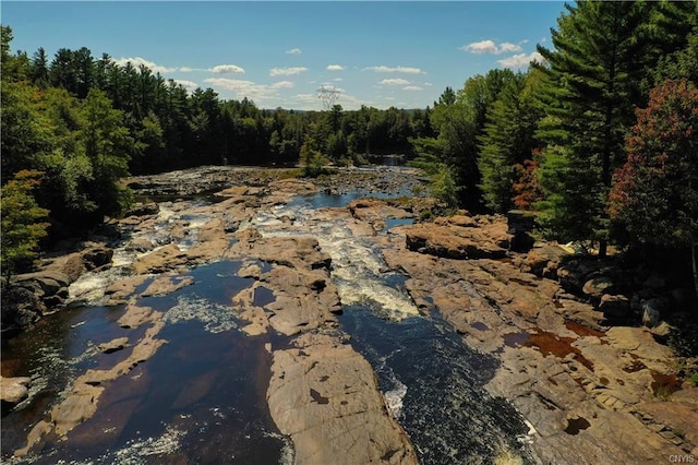 view of nature featuring a water view