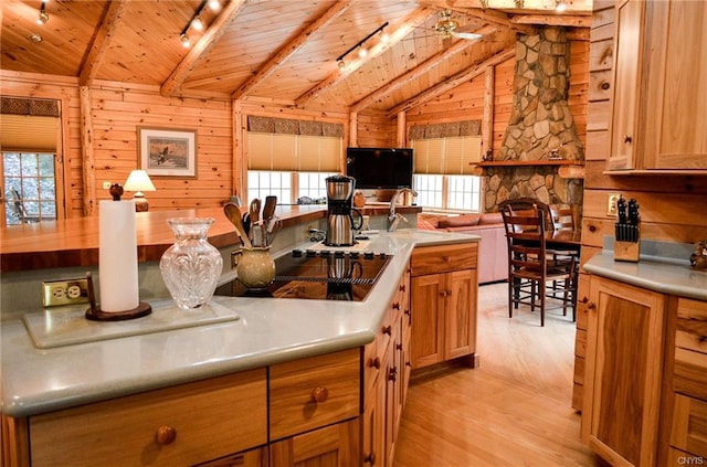 kitchen with wood walls, plenty of natural light, and wooden ceiling