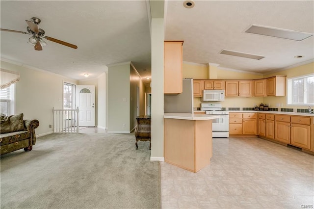 kitchen featuring white appliances, ornamental molding, a wealth of natural light, and vaulted ceiling