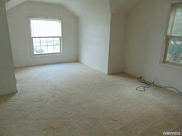 bonus room featuring light carpet and vaulted ceiling