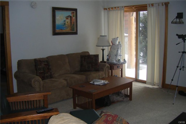 carpeted living room with a wealth of natural light