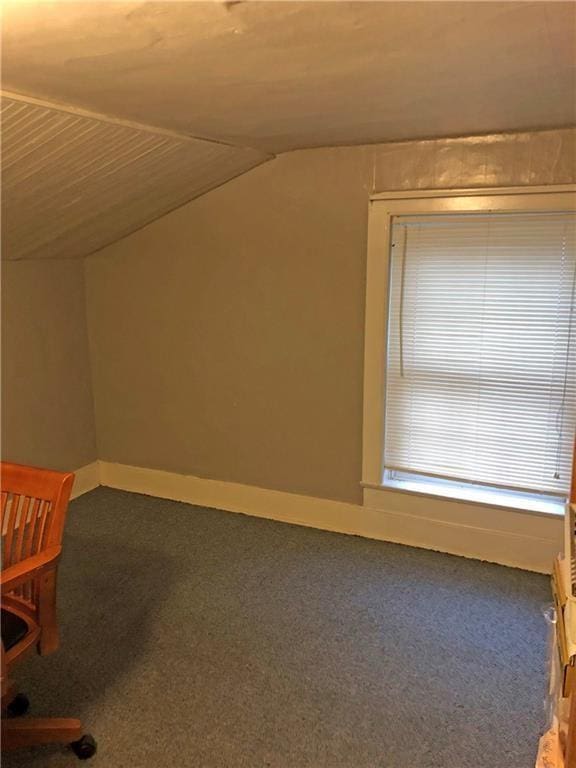 interior space featuring carpet floors and lofted ceiling