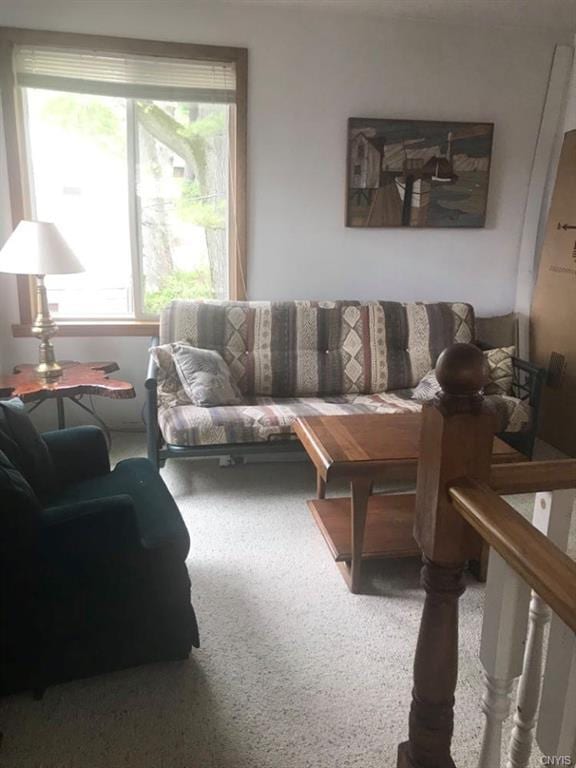 living room featuring carpet floors and a wealth of natural light