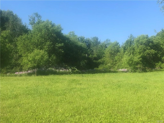 3784 Seneca Turnpike, Lenox NY, 13032 land for sale